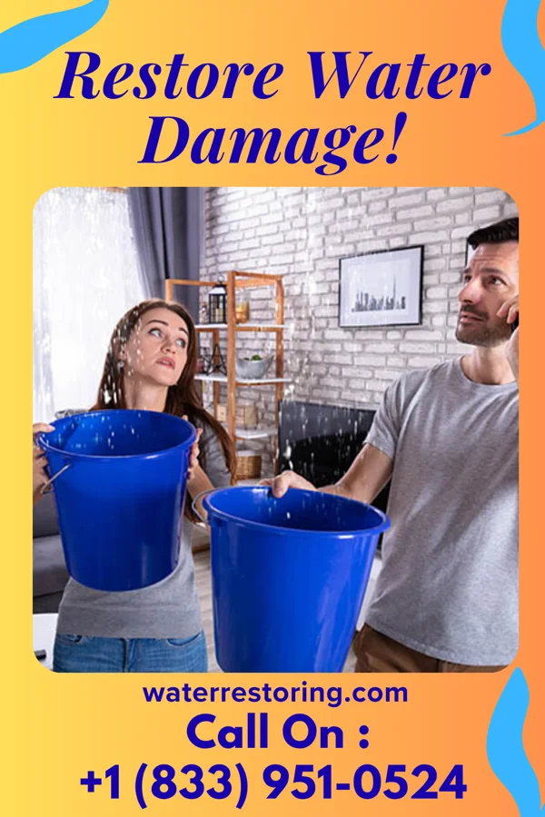 water restoration National Mitigation Services White Haven