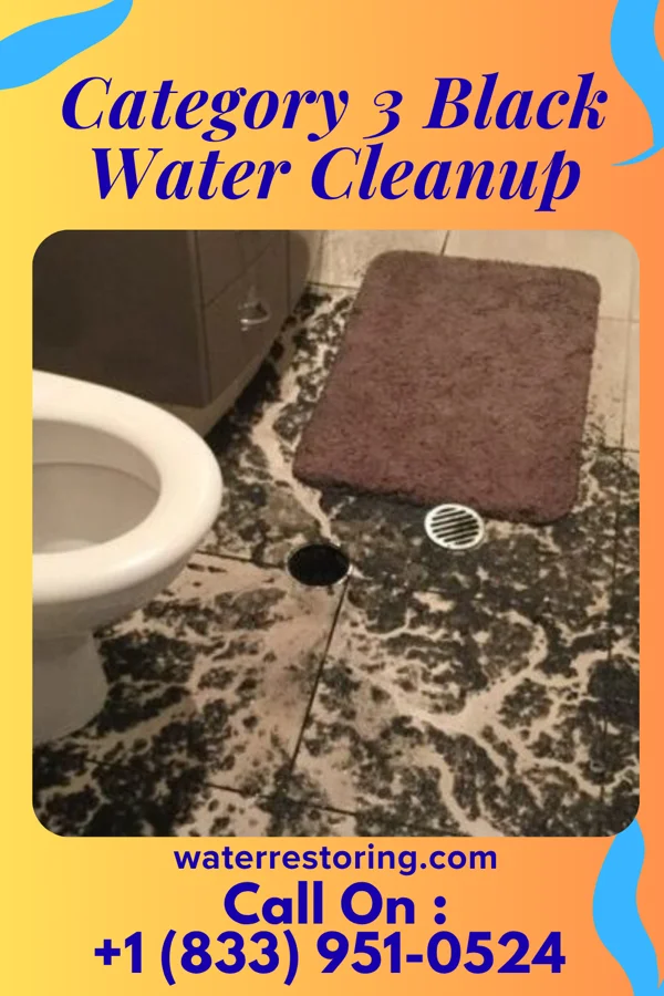 Category 3 Black Water Cleanup in White Haven, PA