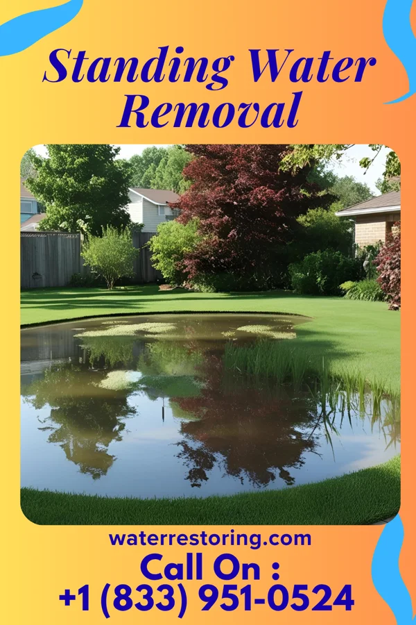Standing Water Removal in White Haven, PA